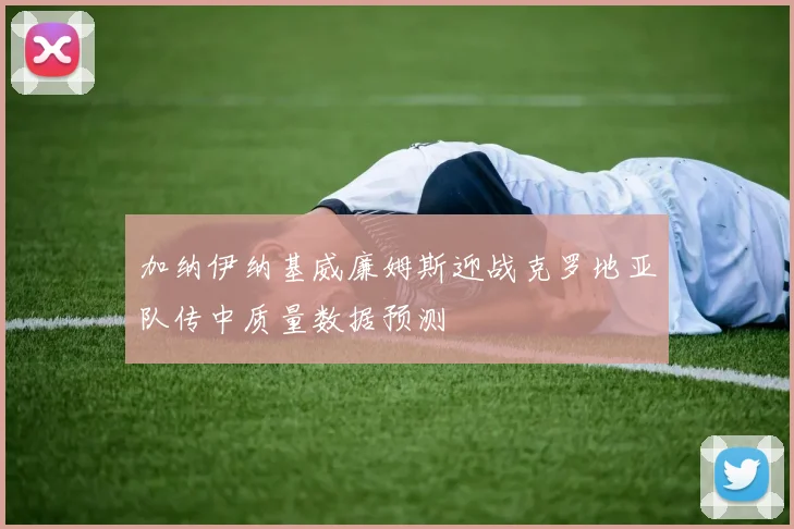 加纳伊纳基威廉姆斯迎战克罗地亚队传中质量数据预测
